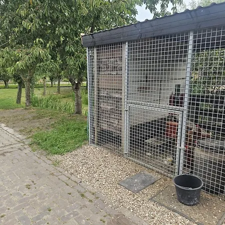 De Gouwe Hooiberg *