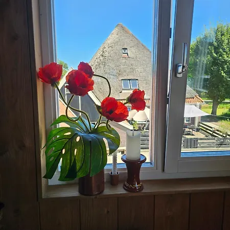 De Gouwe Hooiberg * Hoogwoud